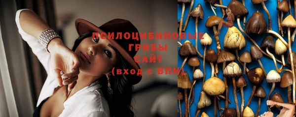 герыч Переславль-Залесский