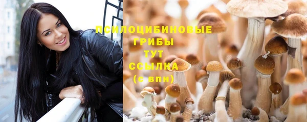 герыч Пестово