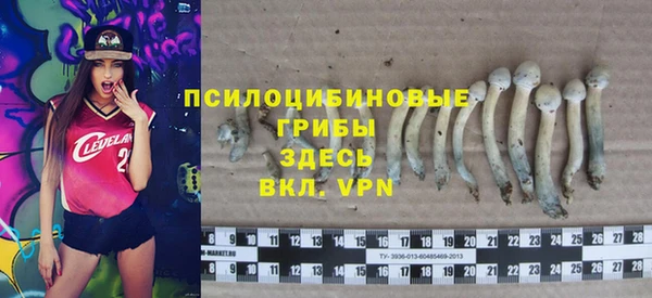 СК Пересвет