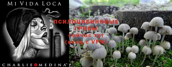 герыч Переславль-Залесский