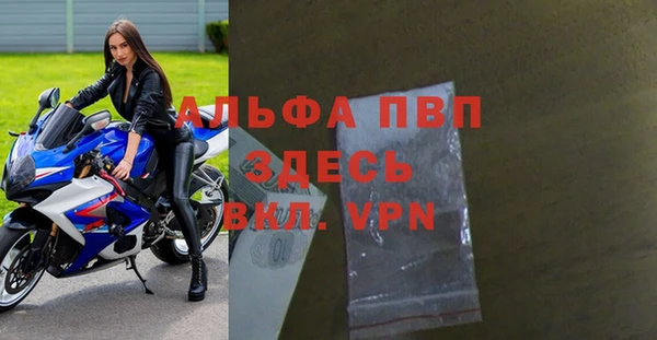 СК Пересвет