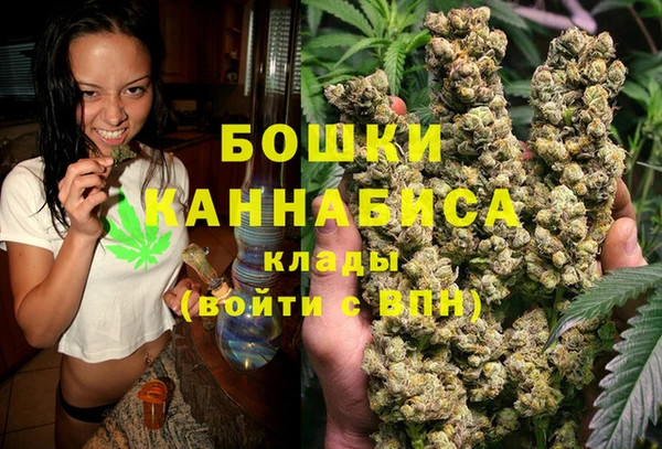 СК Пересвет