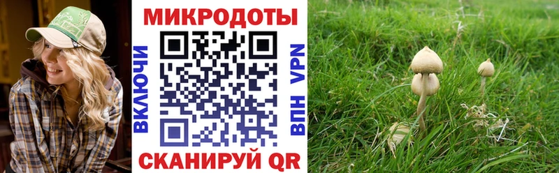 Псилоцибиновые грибы MAGIC MUSHROOMS  Александровск 